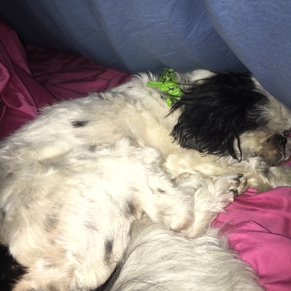 Meet your Posher, Kimberly - Picture 1 of 1